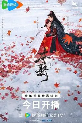 《夺娶》：迷雾重重下的婚姻谜局，谁是猎物？