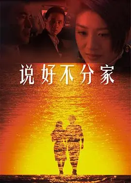 重温温暖家庭情感：说好不分家的动人故事