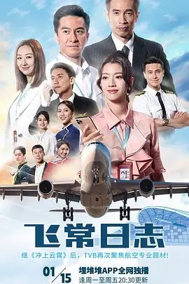 飞常日志国语版：日常飞行中的感人故事