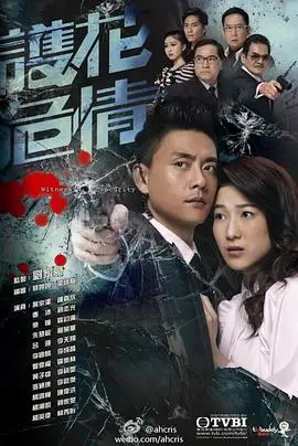 《护花危情国语》：贴身保镖的甜蜜守护，爱与危险并存的浪漫故事