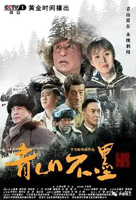 《青山不墨》：一部触动心灵的粤语佳作，以历史为笔，绘就人间悲欢离合